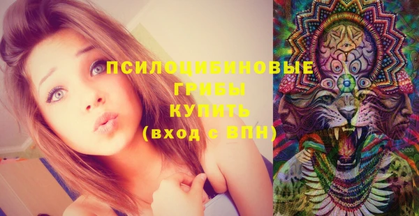 МДПВ Алексеевка
