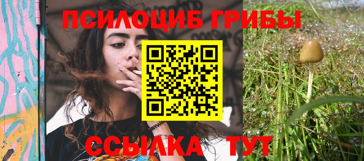 Галлюциногенные грибы MAGIC MUSHROOMS Нижнекамск