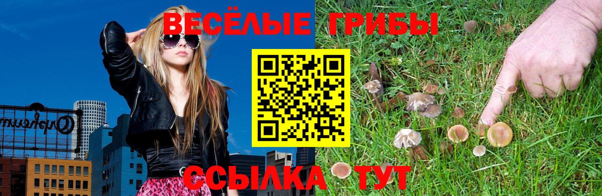 Меф Нижнекамск
