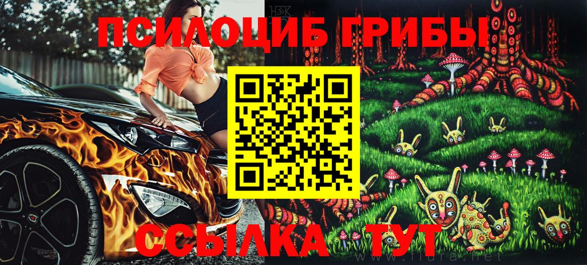 Нижнекамск  Псилоцибиновые грибы MAGIC MUSHROOMS  сколько стоит  Вход с VPN 