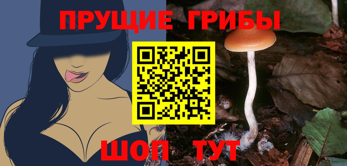Галлюциногенные грибы Cubensis  Нижнекамск 