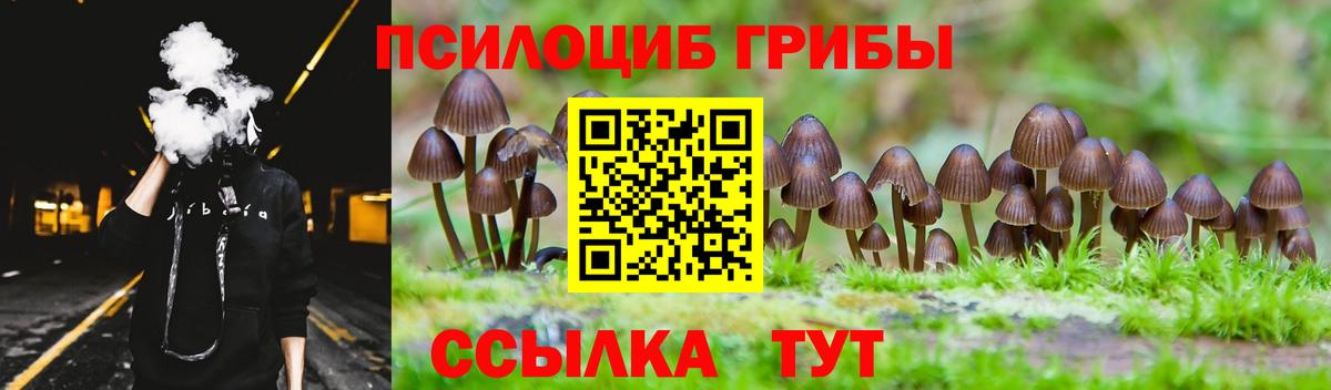 Псилоцибиновые грибы MAGIC MUSHROOMS Нижнекамск